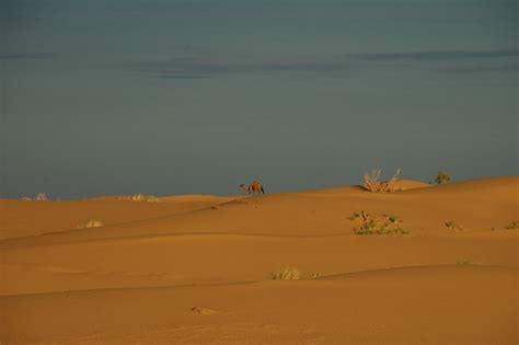 Turkmenistan Desert Sites - Uncornered Market