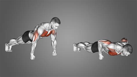 Knuckle Push-Ups: Benefits, Muscles Used, and More - Inspire US