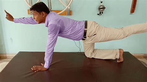 6 Best Exercises for Disc Herniation Sciatica : Physiosunit