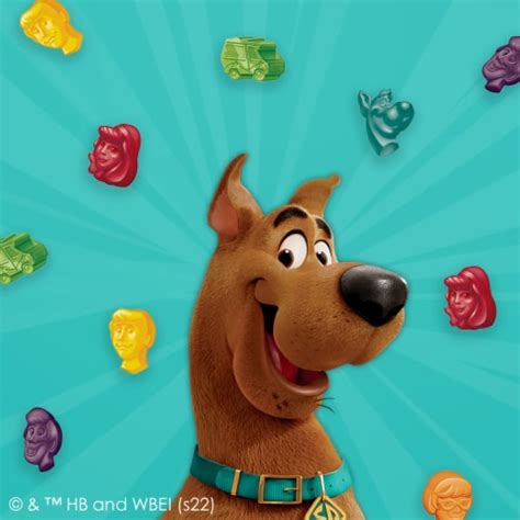 Scooby Doo Fruit Flavored Snacks, Gummy Treat Pouches, (Pack of 16), 16 packs - Smith’s Food and ...