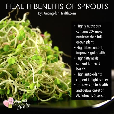 mung bean sprouts health benefits