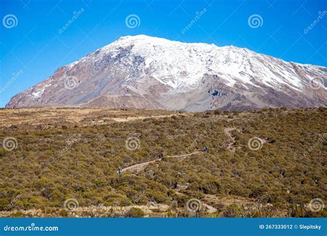 Snow on Top of Mount Kilimanjaro Stock Photo - Image of mountain ...