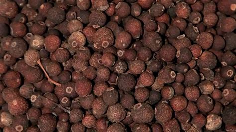 What Is Allspice? | Britannica