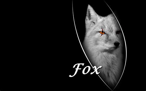 Cool Fox Wallpapers - Top Free Cool Fox Backgrounds - WallpaperAccess