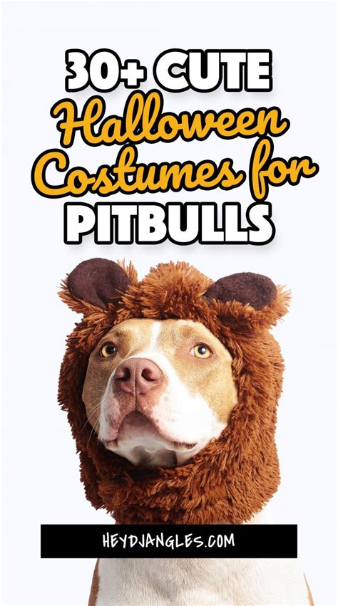 30+ Cute Halloween Costumes for Pitbulls - Hey, Djangles.