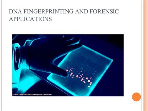 Dna Fingerprinting And Forensic Applications