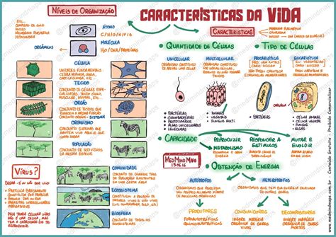 Características do seres vivos [resumos e mapas mentais] - Infinittus