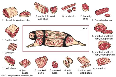 Pork Meat Diagram