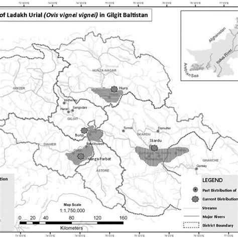 (PDF) Conservation Status of Ladakh Urial (Ovis vignei vignei Blyth, 1841) in Gilgit Baltistan ...