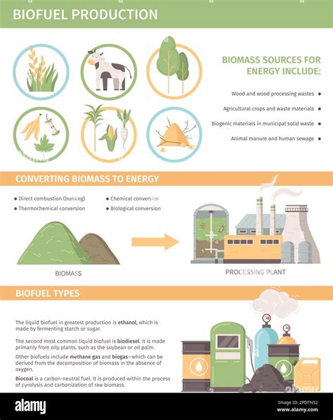 Biofuel production infographics template including biomass sources converting methods biofuel ...