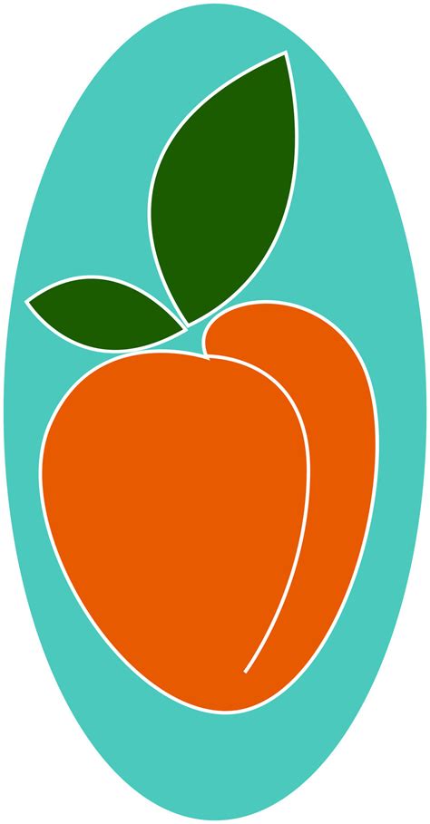 Image of apricot, vector or color illustration. 35033646 Vector Art at Vecteezy