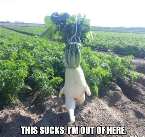 funny garden pictures - Dump A Day