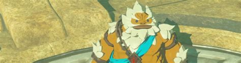 The Legend of Zelda: Breath of the Wild - Goron City, Heat Resistant ...