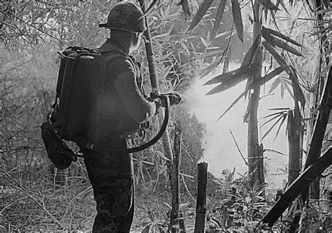 Liquid Fire - How Napalm Was Used In The Vietnam War | War History Online