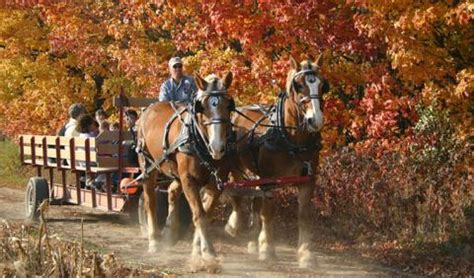 Nashville's 2021 Best Fall Hayrides | NashvilleLife.com