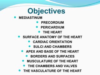 anatomy of cardiovascular system | PPT