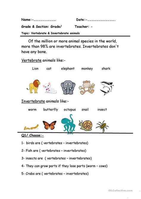 Vertebrates And Invertebrates Worksheet