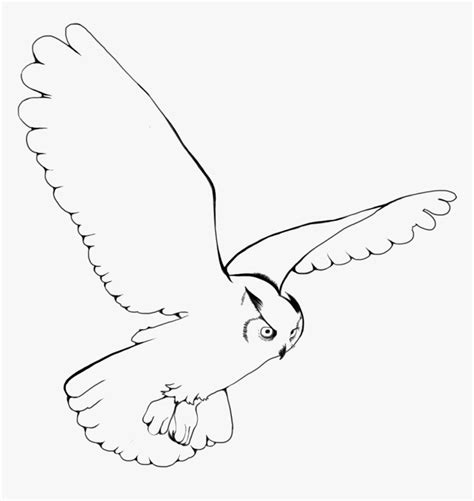 Snowy Owl Bird Drawing Clip Art - Snowy Owl Flying Drawing, HD Png Download , Transparent Png ...