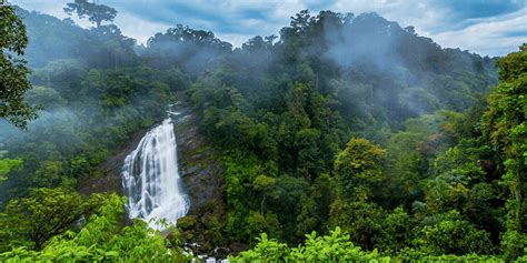 Top 8 Munnar Waterfalls | Munnar Insider Travel Blog