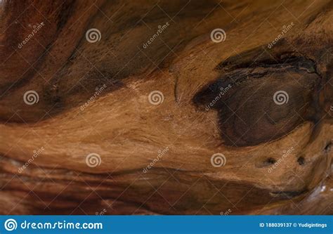 Rosewood Wood Kayu Sonokeling Pattern Stock Image - Image of natural, hardwood: 188039137