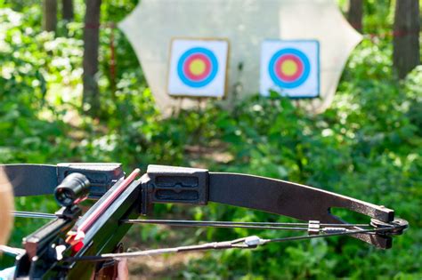 Our Guide to The Best Crossbow Targets - Crossbow Crew