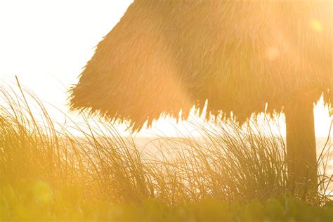 Thatched shade umbrella on a tropical beach at sunset - StockFreedom - Premium Stock Photography