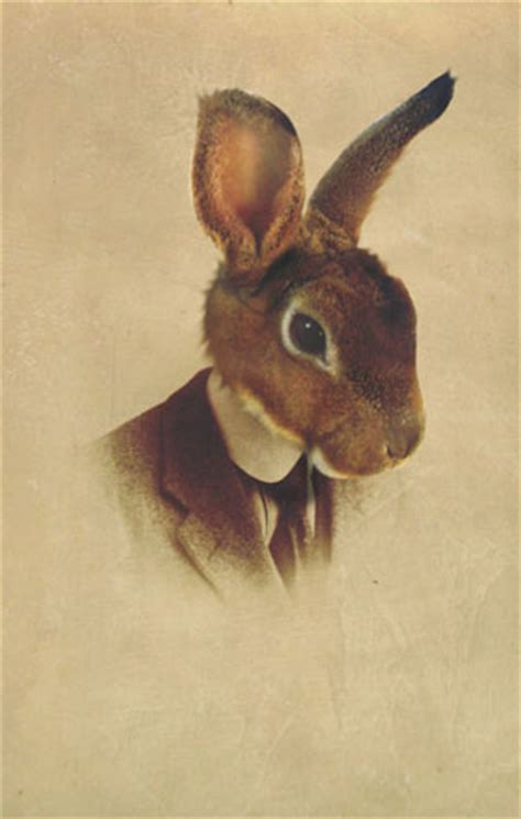 Mr. Rabbit by DrXtreme on DeviantArt