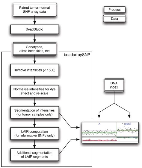 Analysis steps for SNP array data with the Illumina Beadstudio and the... | Download Scientific ...