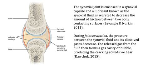 Are clicking joints a sign of something more? – A Student Physio