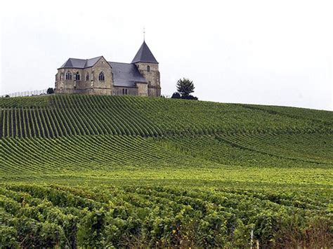 French champagne vineyards added to Unesco's World Heritage Sites | world | Hindustan Times