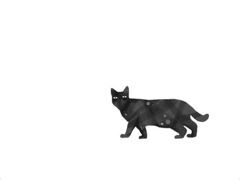 Black And White Cartoon Cat Walking Gif - Infoupdate.org