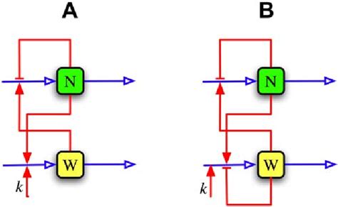 Figure 1 from A Proposed Mechanism for the Interaction of the Segmentation Clock and the ...