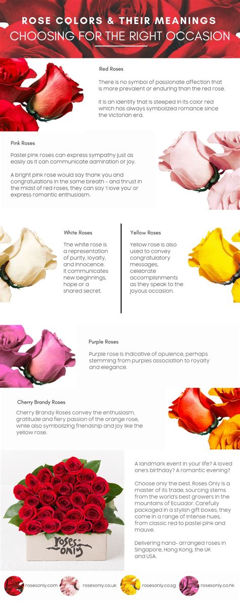 Rose Colours & Their Meanings - Roses Only UK