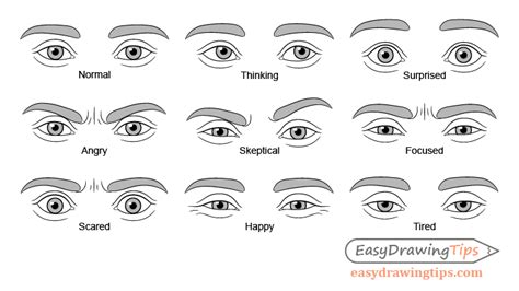 How to Draw Eye Expressions Step by Step - EasyDrawingTips