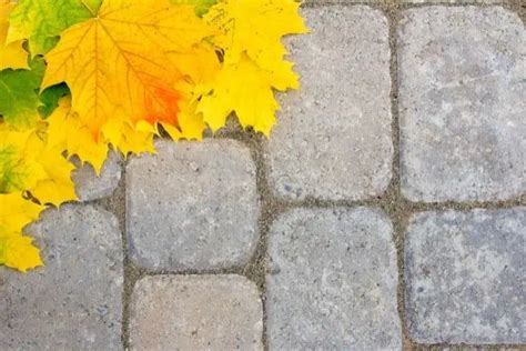 Polymeric Sand vs Regular Sand for Pavers — Which is Better