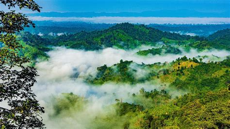 Sylhet Travel Guide | Sylhet Tourism - KAYAK