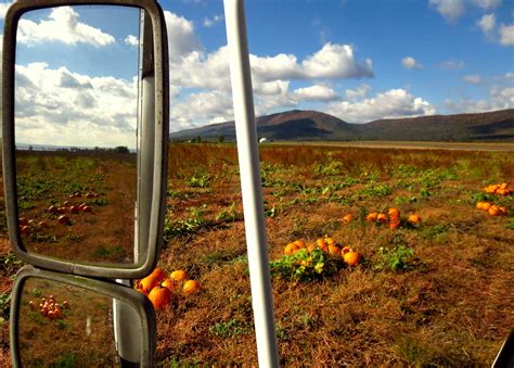 How long will gleaning last? — The Gleaning Project