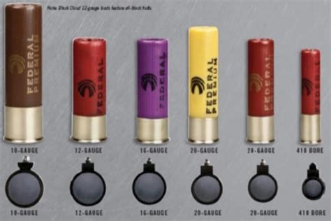 12 Gauge Shotgun Shells Types Chart