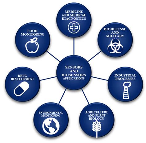 Potential applications of sensors and biosensors. | Download Scientific ...