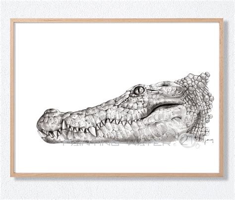 Top 77+ pencil sketch of crocodile latest - seven.edu.vn