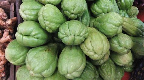 Amazing Health Benefits of Chayote (Vegetable Pear) for your body and beauty | Health Benefits ...