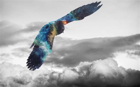 Golden Eagle Flying Galaxy Photoshop Wallpaper,HD Photography Wallpapers,4k Wallpapers,Images ...