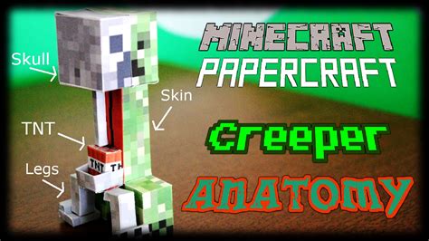 Papercraft The Complete Anatomy of a Creeper : Why do they Explode ...