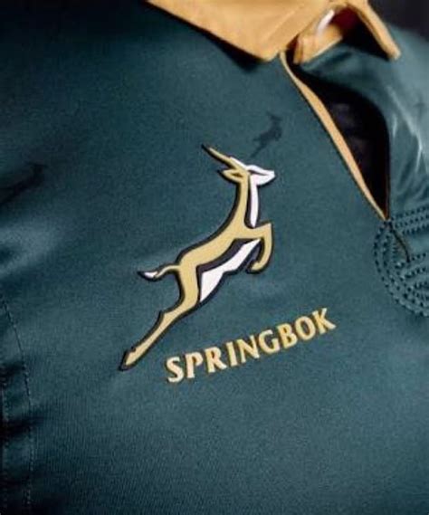 Springbok Rugby Logo