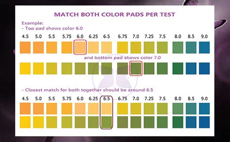 pH Test Strips for Testing Alkaline and Acid Levels in the Body. Track ...