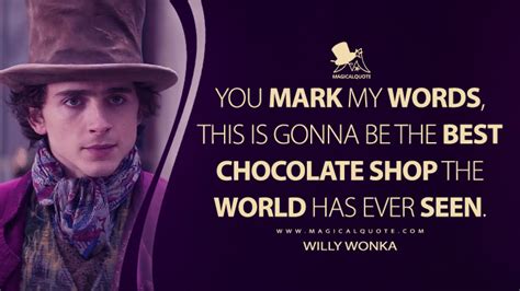 Willy Wonka Quotes - MagicalQuote