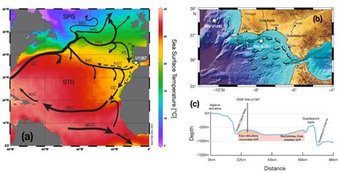 (a) Map of the North Atlantic Ocean showing the major surface water... | Download Scientific Diagram