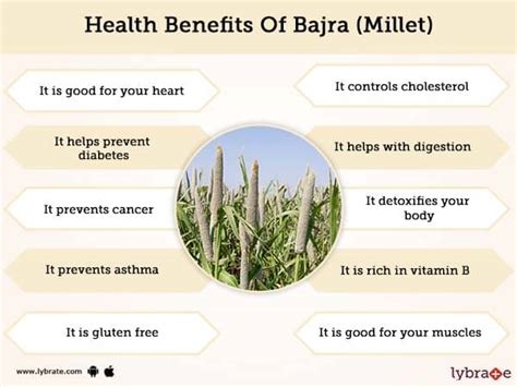 Bajra (Millet) Benefits And Its Side Effects | Lybrate