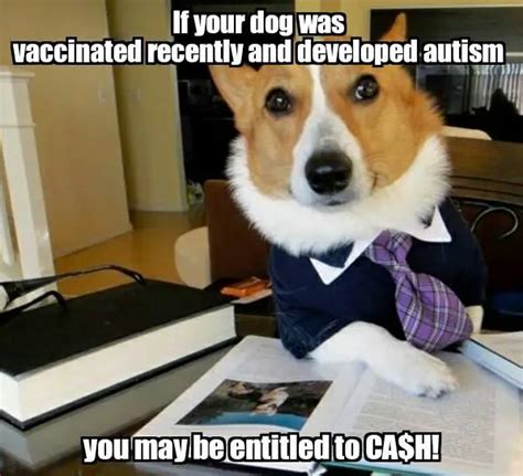 Rant: 3 Reasons This Joke About Adverse Dog Vaccine Reactions Makes Me Livid