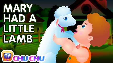 Mary Had A Little Lamb Nursery Chu Chu Tv Rhymes – viralmp4